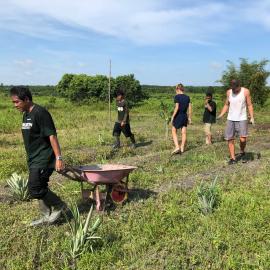 Restoring Habitat in Indonesian Borneo